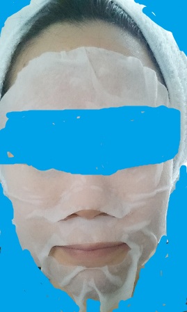 f:id:maki3san:20170422203718j:plain