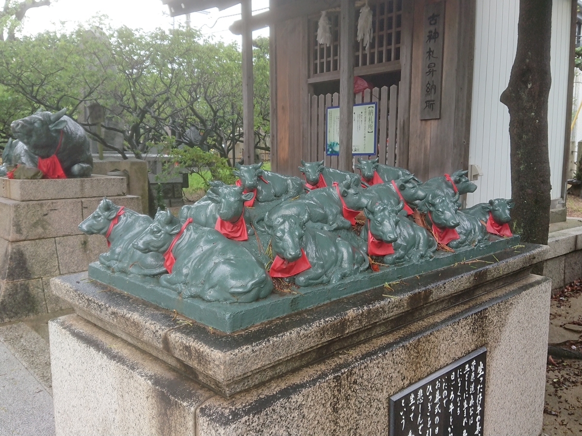 f:id:maki_0004:20200709141618j:plain f:id:maki_0004:20200709141618j:plain