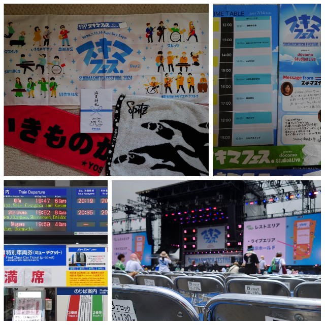 スキマフェス14日券大人2枚 スキマフェス14日券大人2枚