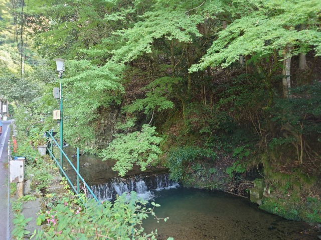f:id:maki_0004:20250929204645j:image