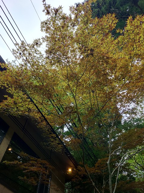 f:id:maki_0004:20250929205525j:image