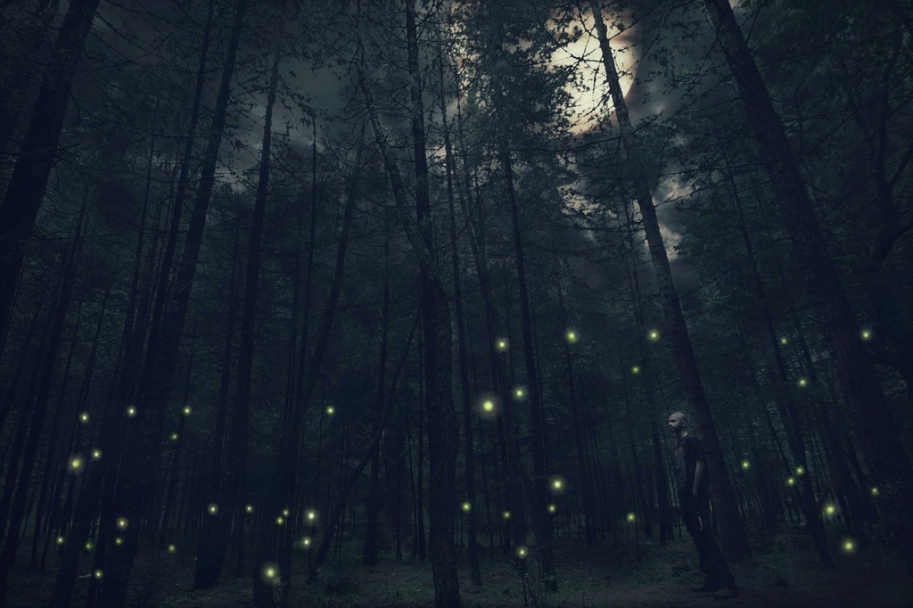 f:id:makiakari:20161113212134j:plain f:id:makiakari:20161113212134j:plain