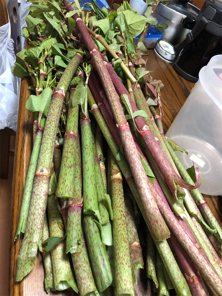 f:id:makichanchi:20190506151027j:plain f:id:makichanchi:20190506151027j:plain