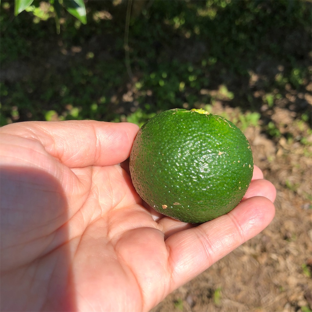 f:id:makichanchi:20190917055046j:image f:id:makichanchi:20190917055046j:image