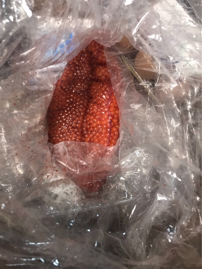 f:id:makichanchi:20190923213916j:image f:id:makichanchi:20190923213916j:image