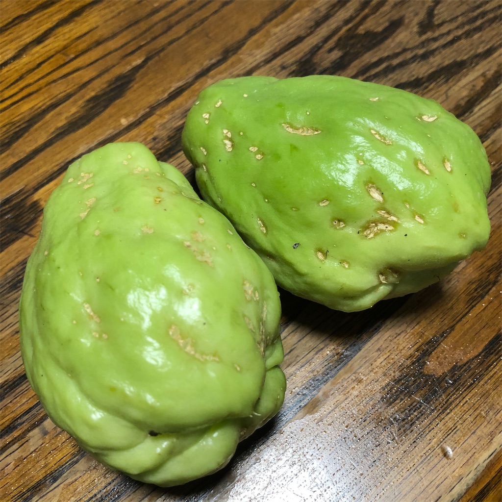 f:id:makichanchi:20191020114109j:image f:id:makichanchi:20191020114109j:image