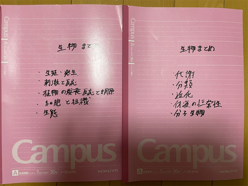 f:id:makiiitan:20220717234040j:image f:id:makiiitan:20220717234040j:image