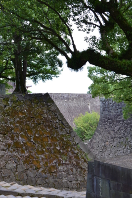 f:id:makiko_kika:20120815141555j:image f:id:makiko_kika:20120815141555j:image