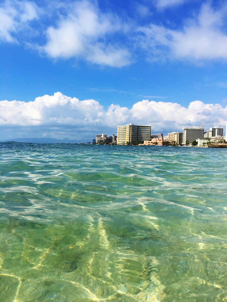 f:id:makikosuwa:20161008215829j:plain