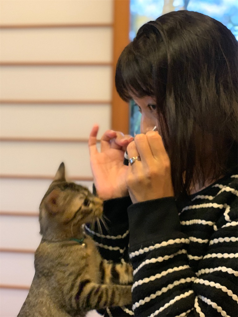 f:id:makikosuwa:20210804185014j:image