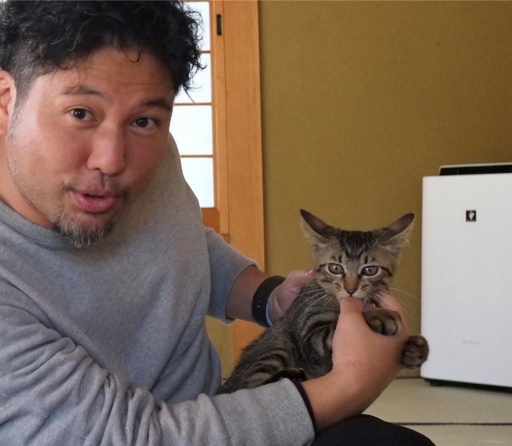 f:id:makikosuwa:20210804185406j:image