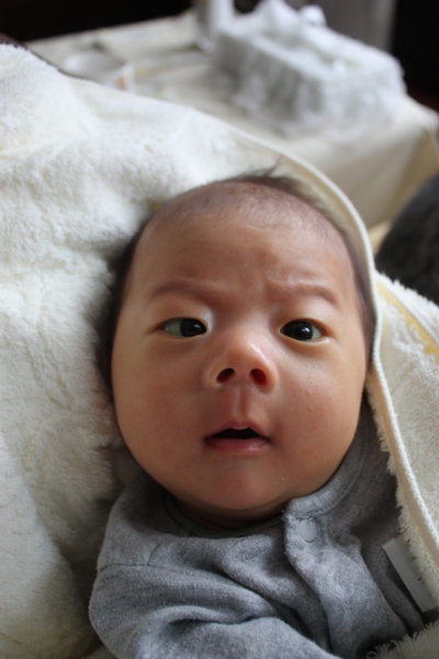 f:id:makimaki13:20141016161448j:image
