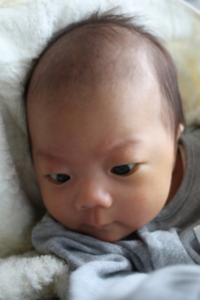 f:id:makimaki13:20141016161533j:image