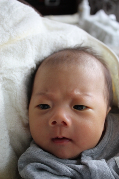 f:id:makimaki13:20141016161704j:image