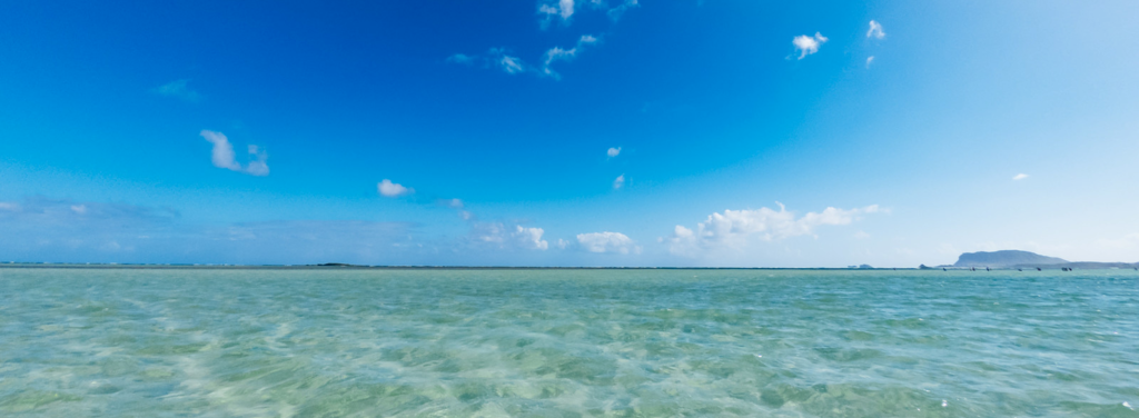 f:id:makimakimakino:20190113012620p:plain f:id:makimakimakino:20190113012620p:plain