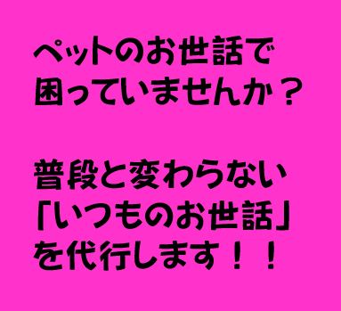 f:id:makimeda0207:20181226213440j:plain