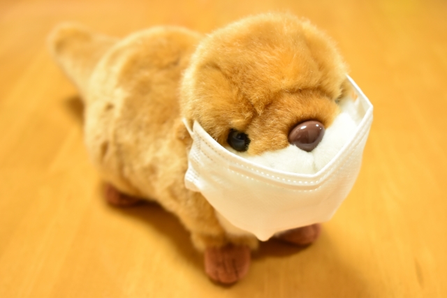 f:id:makimeda0207:20200408203838j:plain