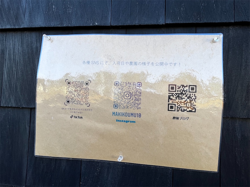 f:id:makimikako:20221128120037j:image