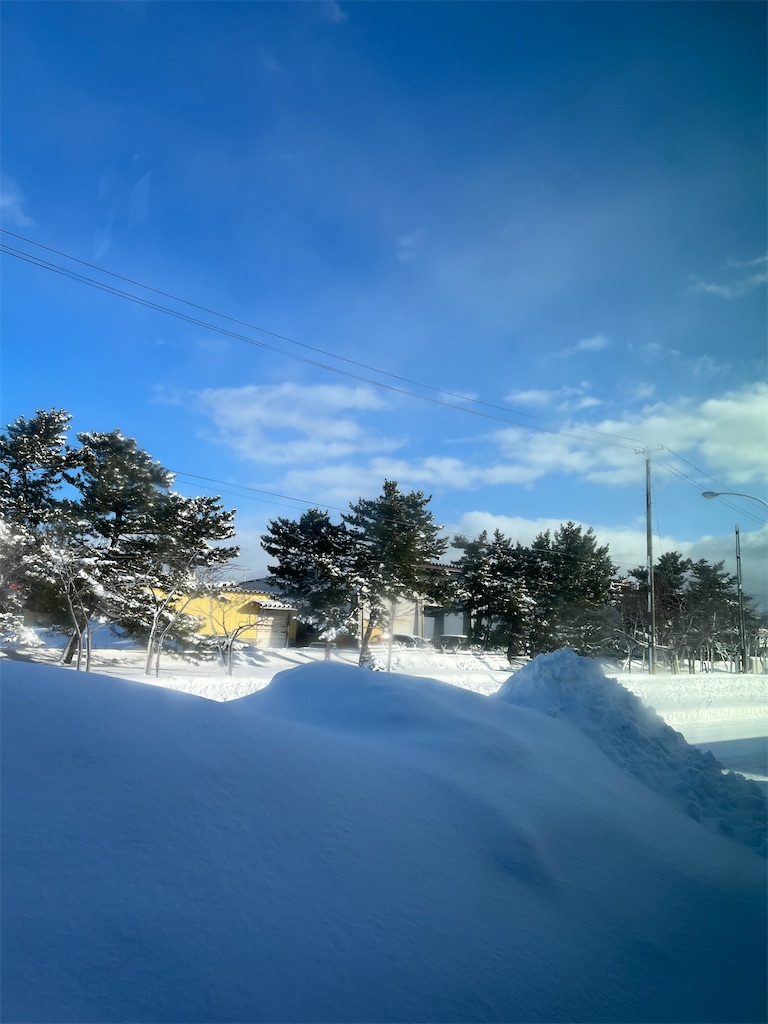f:id:makimikako:20230127101028j:image