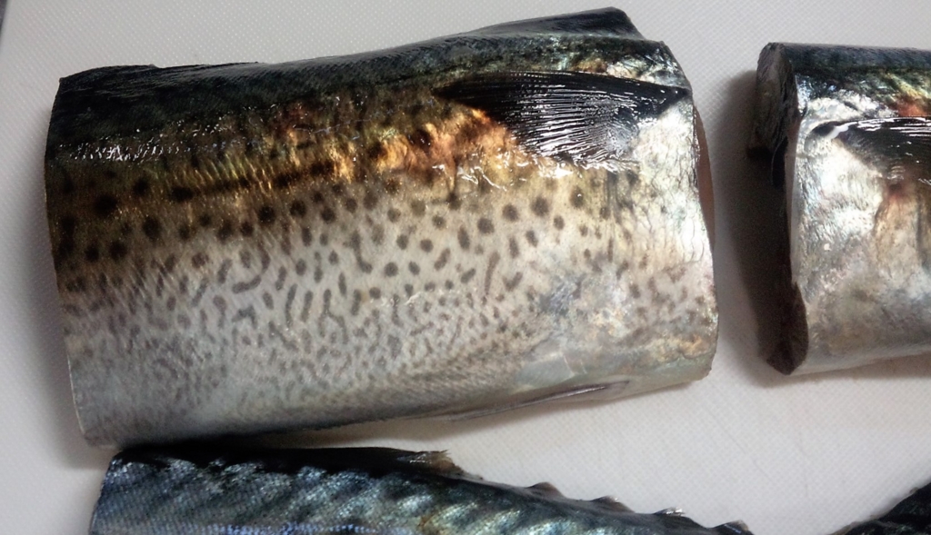 青魚を美味しく煮付けるコツ を解説 これからは 秋サバ が美味しい季節ですよ Makimikan