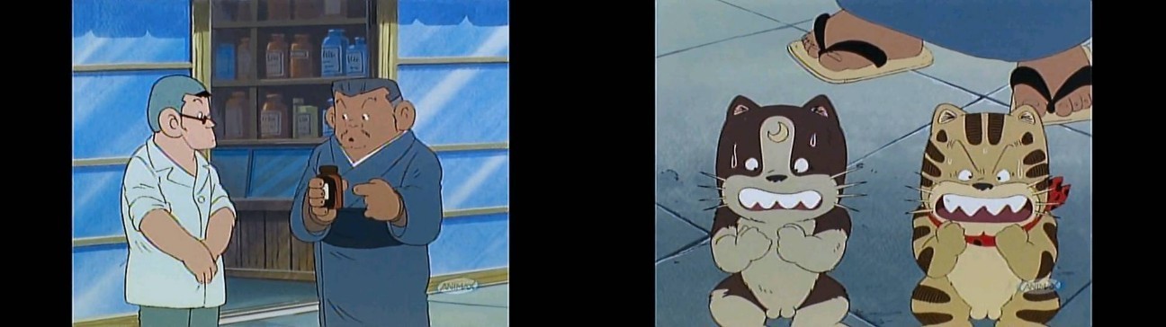 f:id:makimogpfb:20210620134243j:image