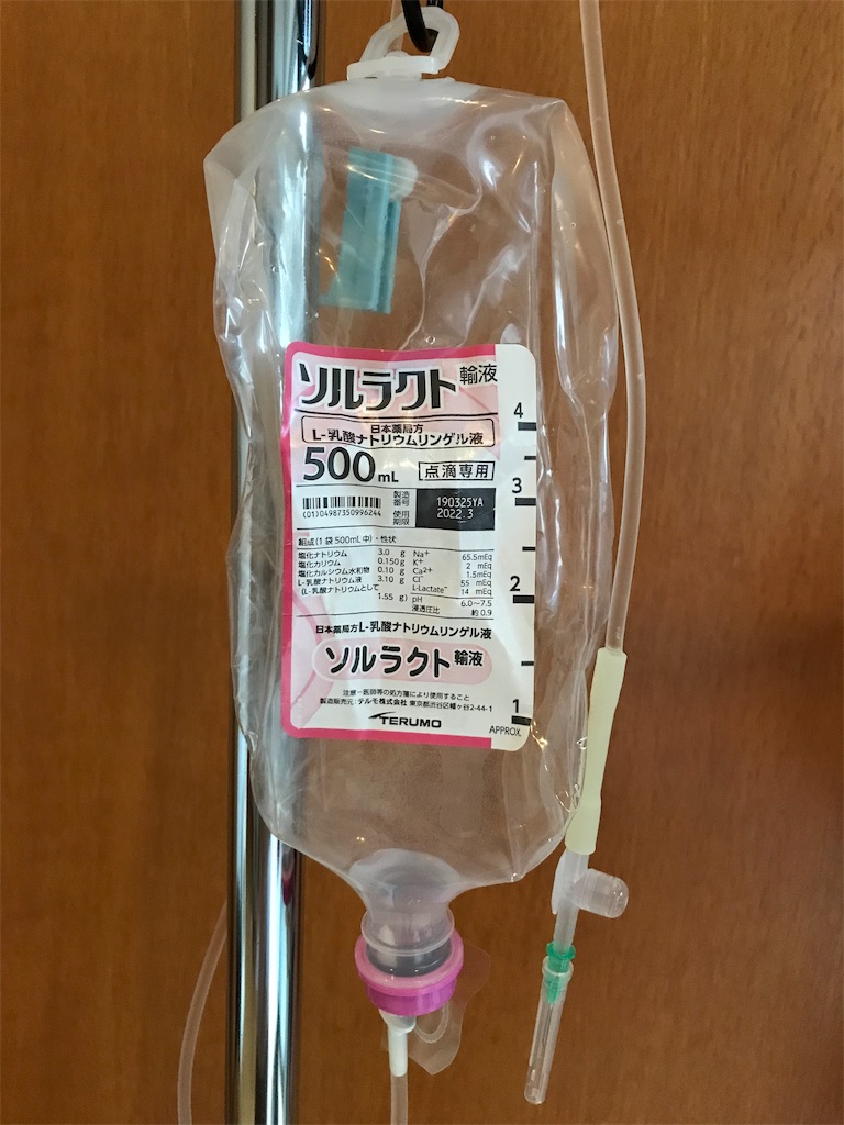 その後の経過】愛猫が「慢性腎不全」ステージ4と診断された【回復