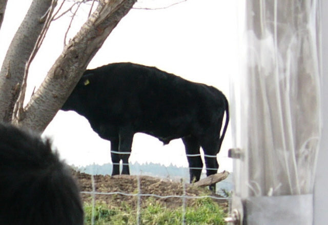 f:id:makin2015:20171120235431p:plain