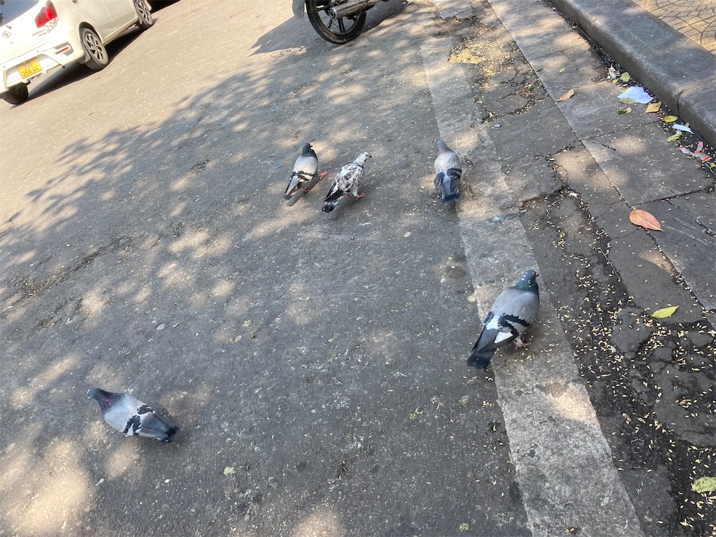 f:id:makinonigiri:20230413184716j:image f:id:makinonigiri:20230413184716j:image