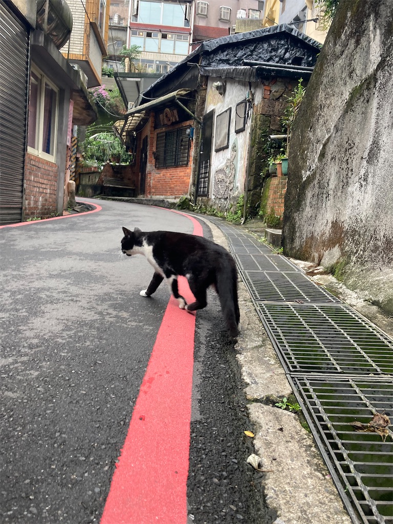 f:id:makinonigiri:20231120164229j:image f:id:makinonigiri:20231120164229j:image