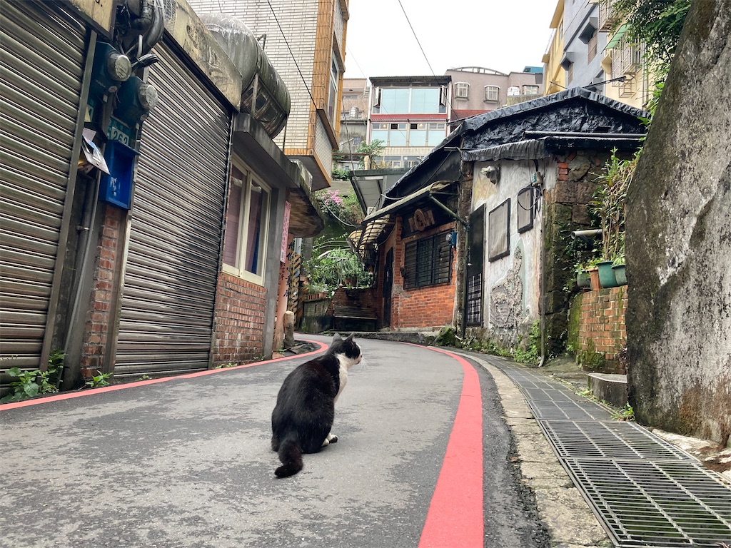 f:id:makinonigiri:20231120164233j:image f:id:makinonigiri:20231120164233j:image