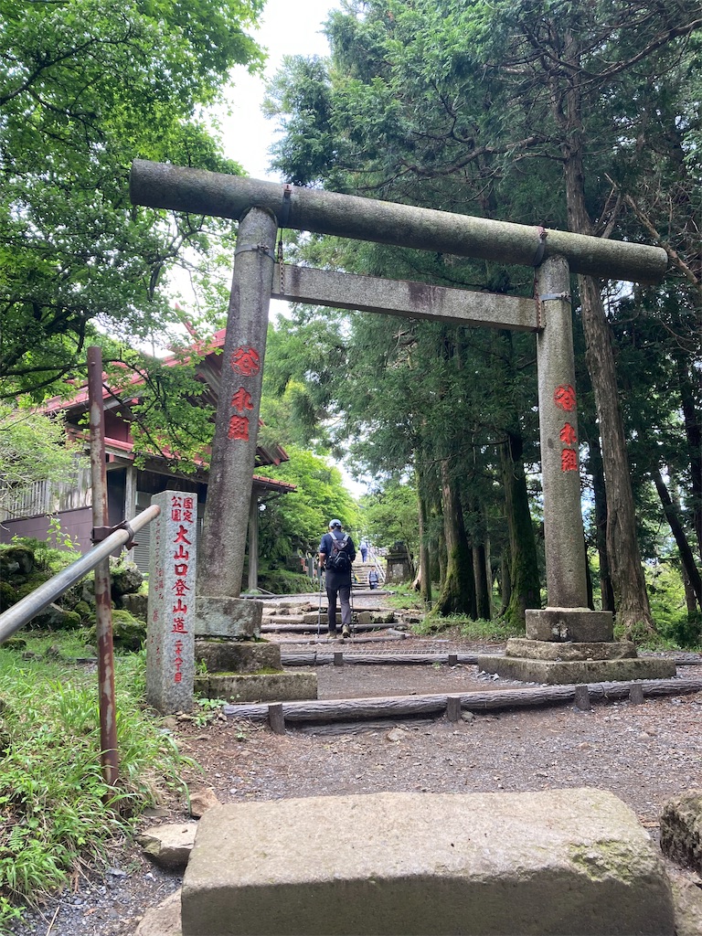 f:id:makinonigiri:20240614090404j:image f:id:makinonigiri:20240614090404j:image