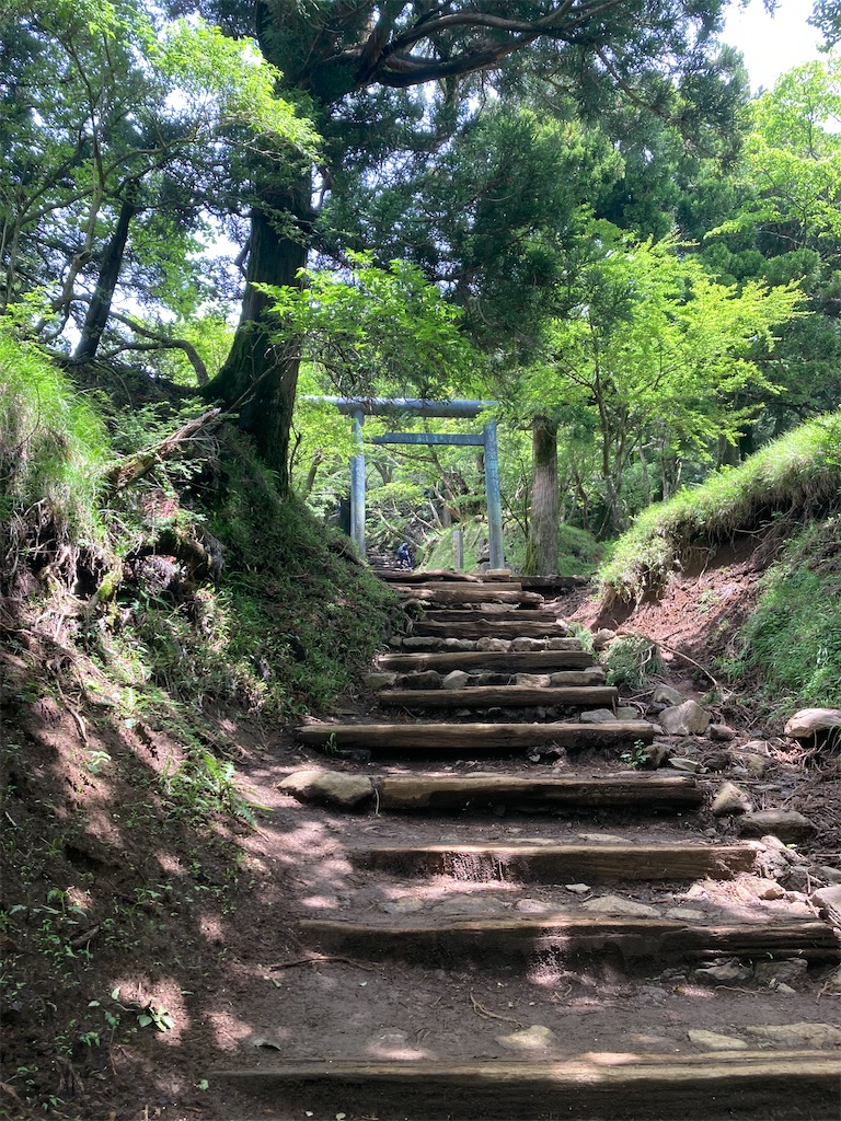 f:id:makinonigiri:20240614090409j:image f:id:makinonigiri:20240614090409j:image