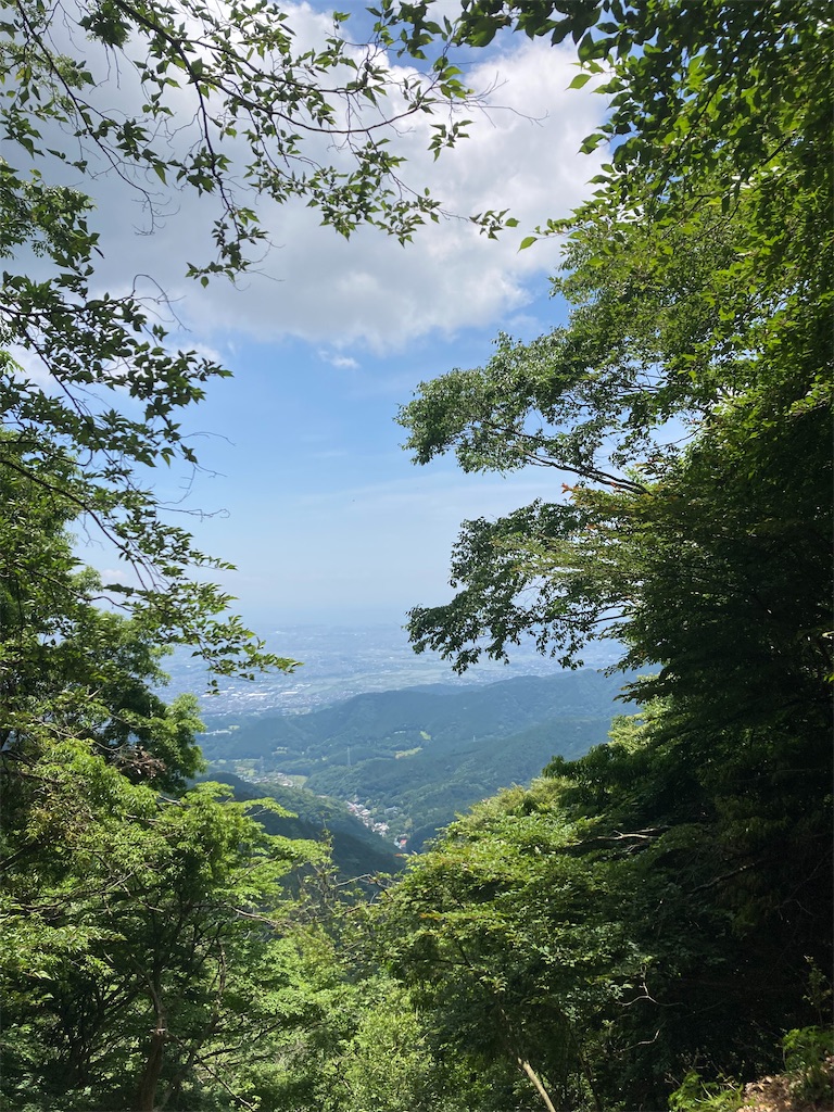 f:id:makinonigiri:20240614090922j:image f:id:makinonigiri:20240614090922j:image