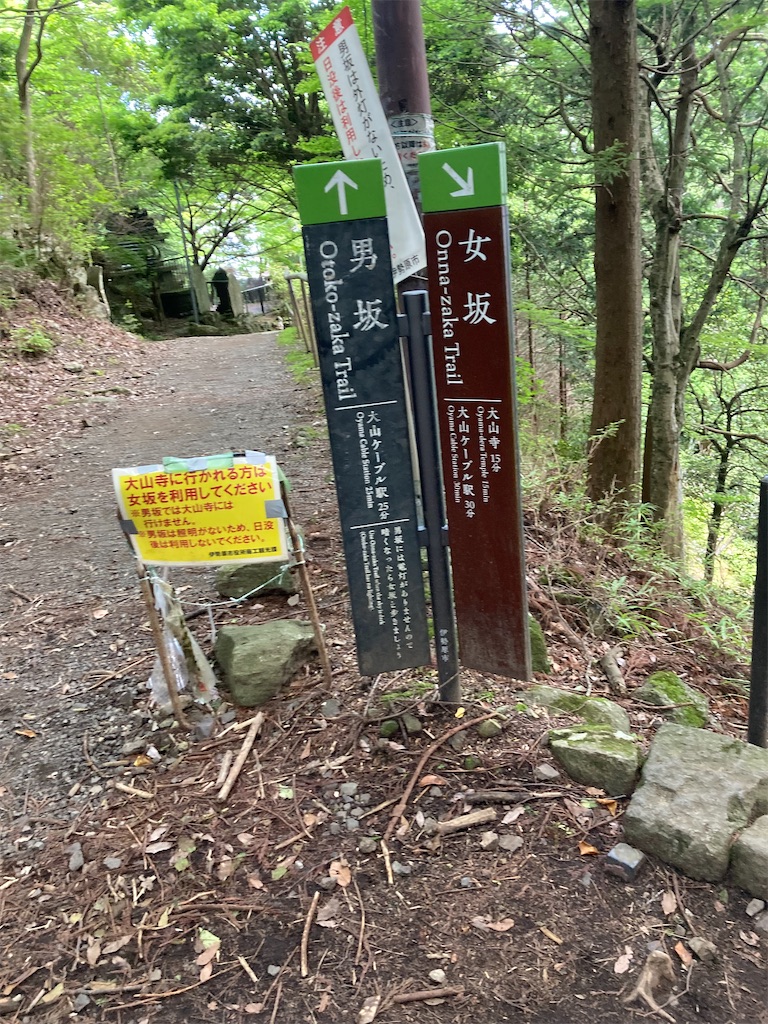 f:id:makinonigiri:20240614101441j:image f:id:makinonigiri:20240614101441j:image