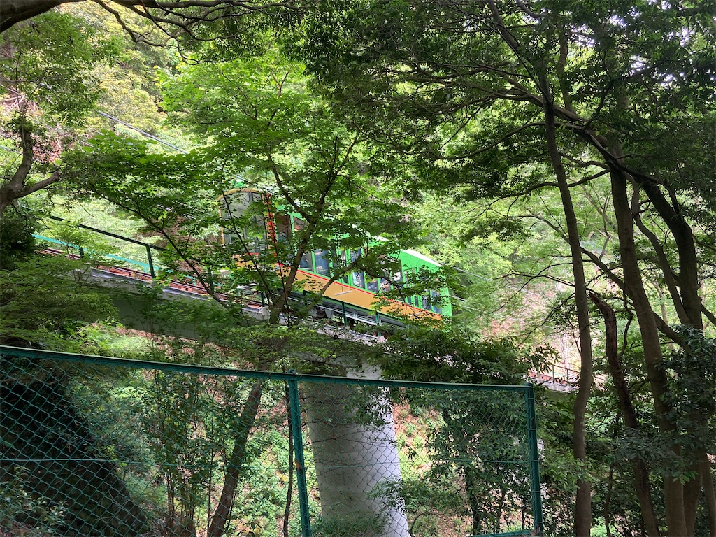 f:id:makinonigiri:20240614101606j:image f:id:makinonigiri:20240614101606j:image