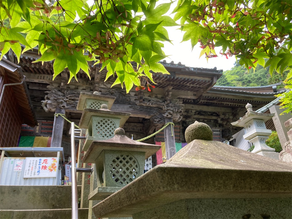 f:id:makinonigiri:20240614101926j:image f:id:makinonigiri:20240614101926j:image