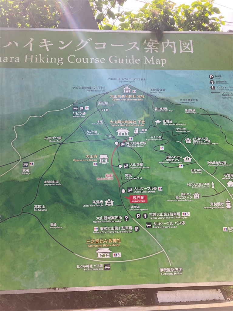 f:id:makinonigiri:20240614130921j:image f:id:makinonigiri:20240614130921j:image