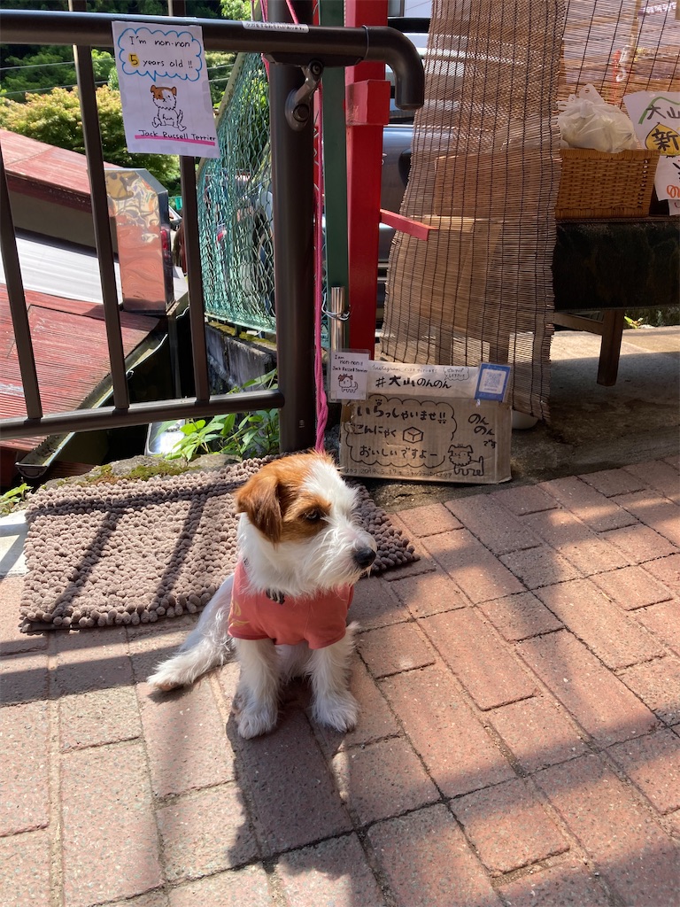 f:id:makinonigiri:20240614130927j:image f:id:makinonigiri:20240614130927j:image