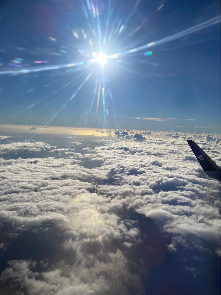 f:id:makinonigiri:20240920162806j:image