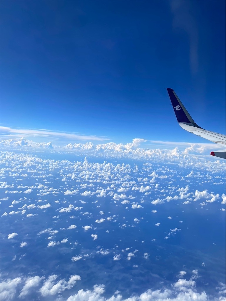 f:id:makinonigiri:20240920162809j:image