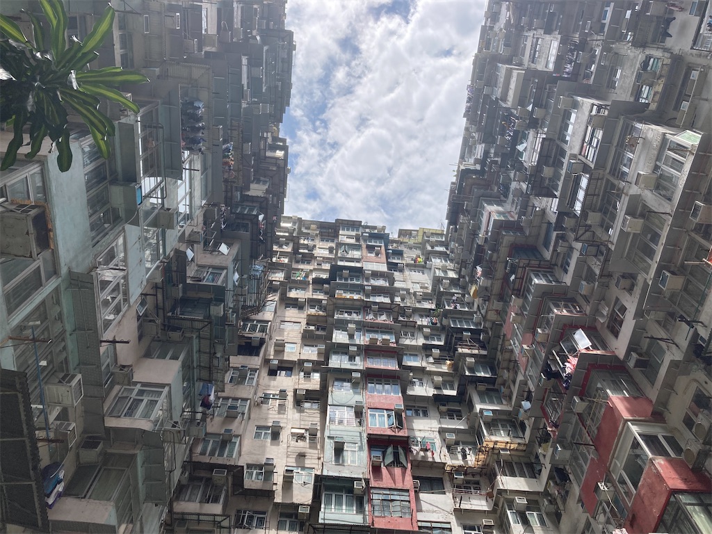 f:id:makinonigiri:20240920163456j:image