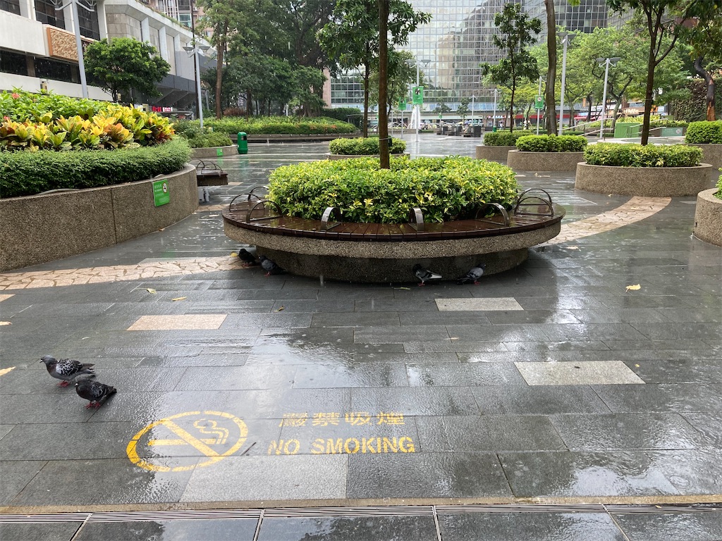 f:id:makinonigiri:20240920164815j:image