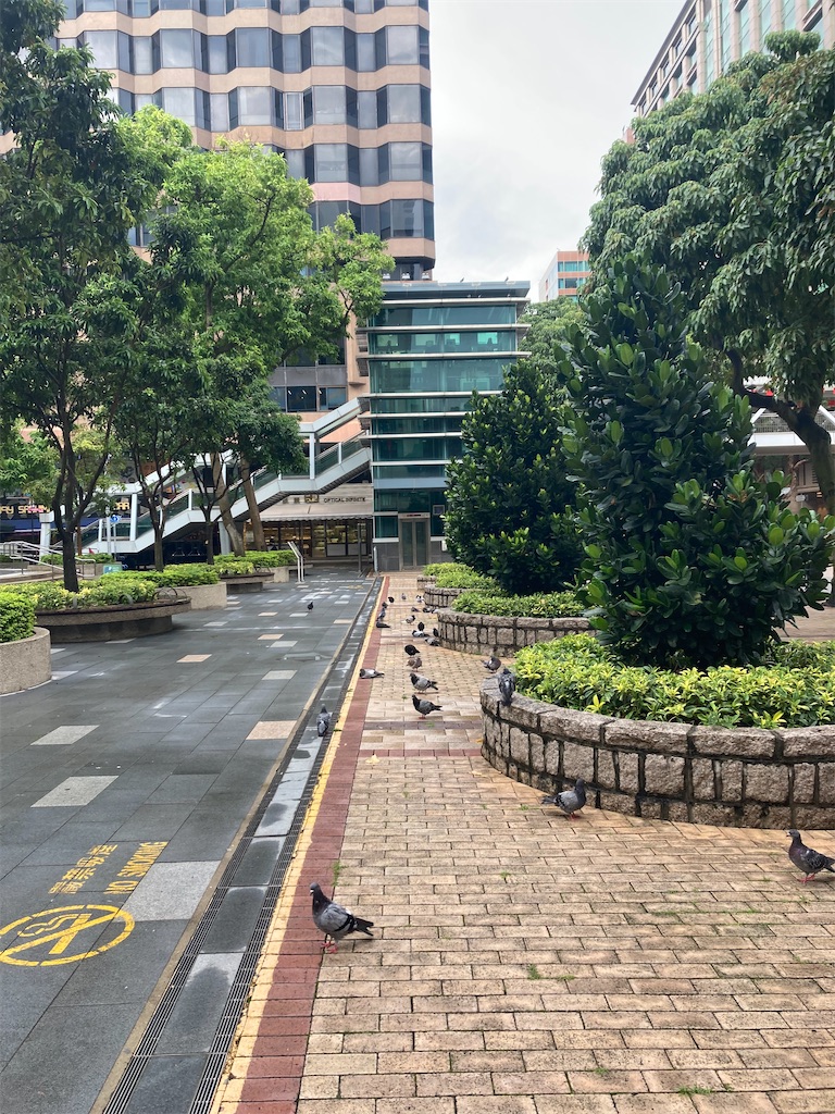 f:id:makinonigiri:20240920164828j:image