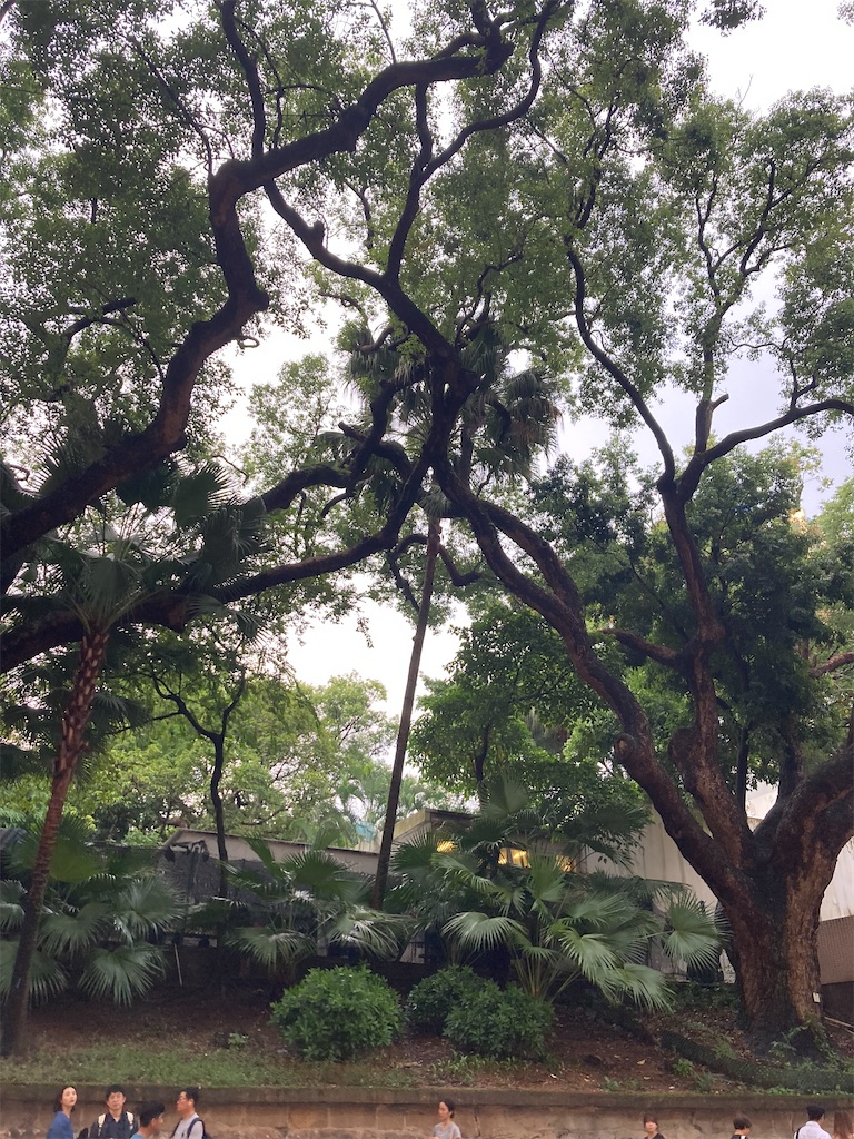 f:id:makinonigiri:20240920165044j:image