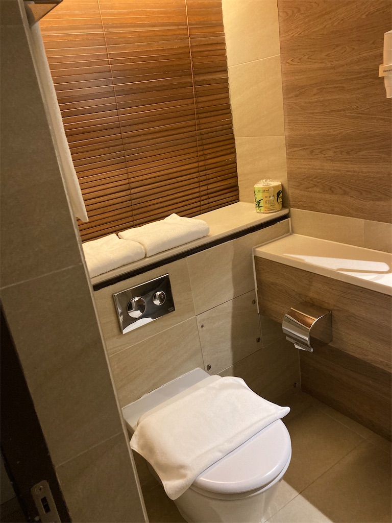 f:id:makinonigiri:20240920165213j:image