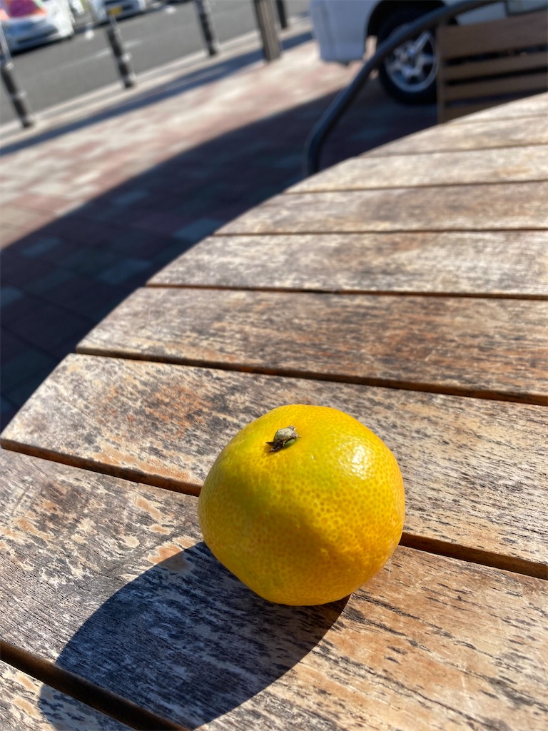 f:id:makinonigiri:20241108122815j:image f:id:makinonigiri:20241108122815j:image