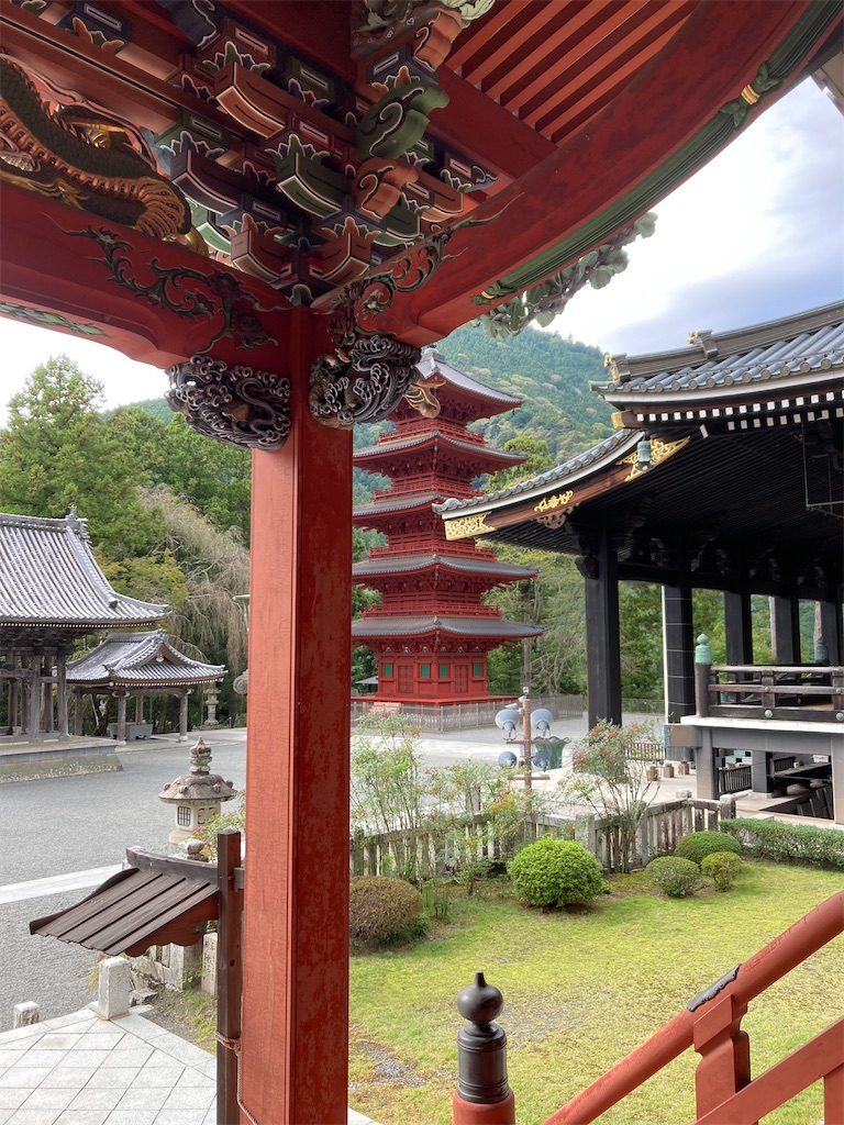 f:id:makinonigiri:20241108122833j:image f:id:makinonigiri:20241108122833j:image