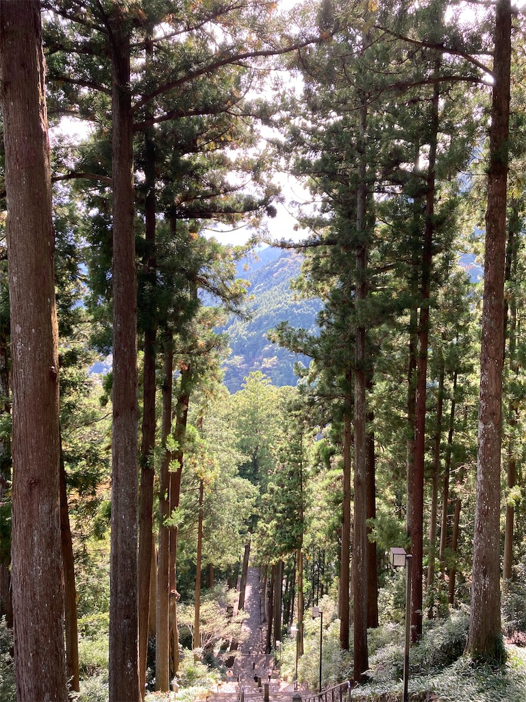 f:id:makinonigiri:20241108122847j:image f:id:makinonigiri:20241108122847j:image