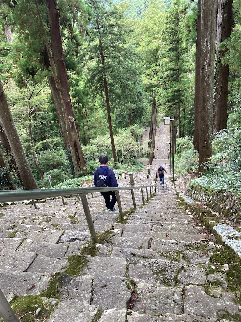 f:id:makinonigiri:20241108122947j:image f:id:makinonigiri:20241108122947j:image