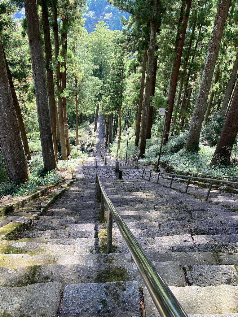 f:id:makinonigiri:20241108122951j:image f:id:makinonigiri:20241108122951j:image